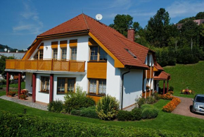 Отель Pension B&B  Врхлаби